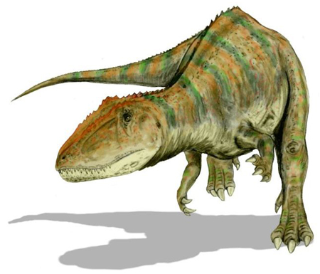 スーパーコレクション！恐竜化石コレクターの憧れ、史上最大級の肉食