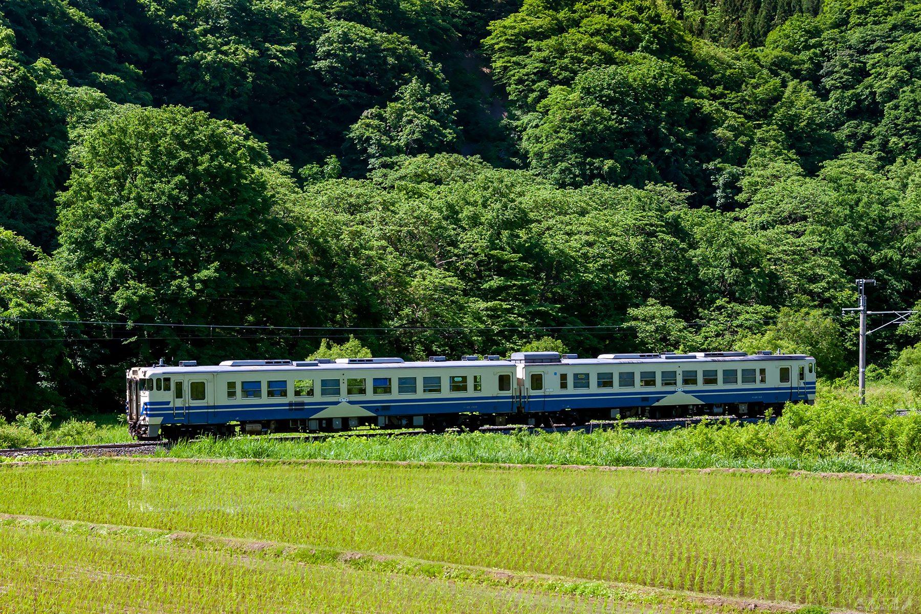 キハ40系 五能線色