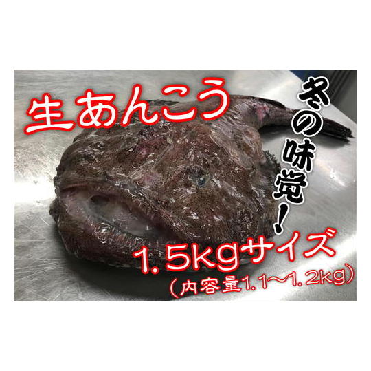 生あんこう1.5kgサイズ 冷凍とは違ううまさ！