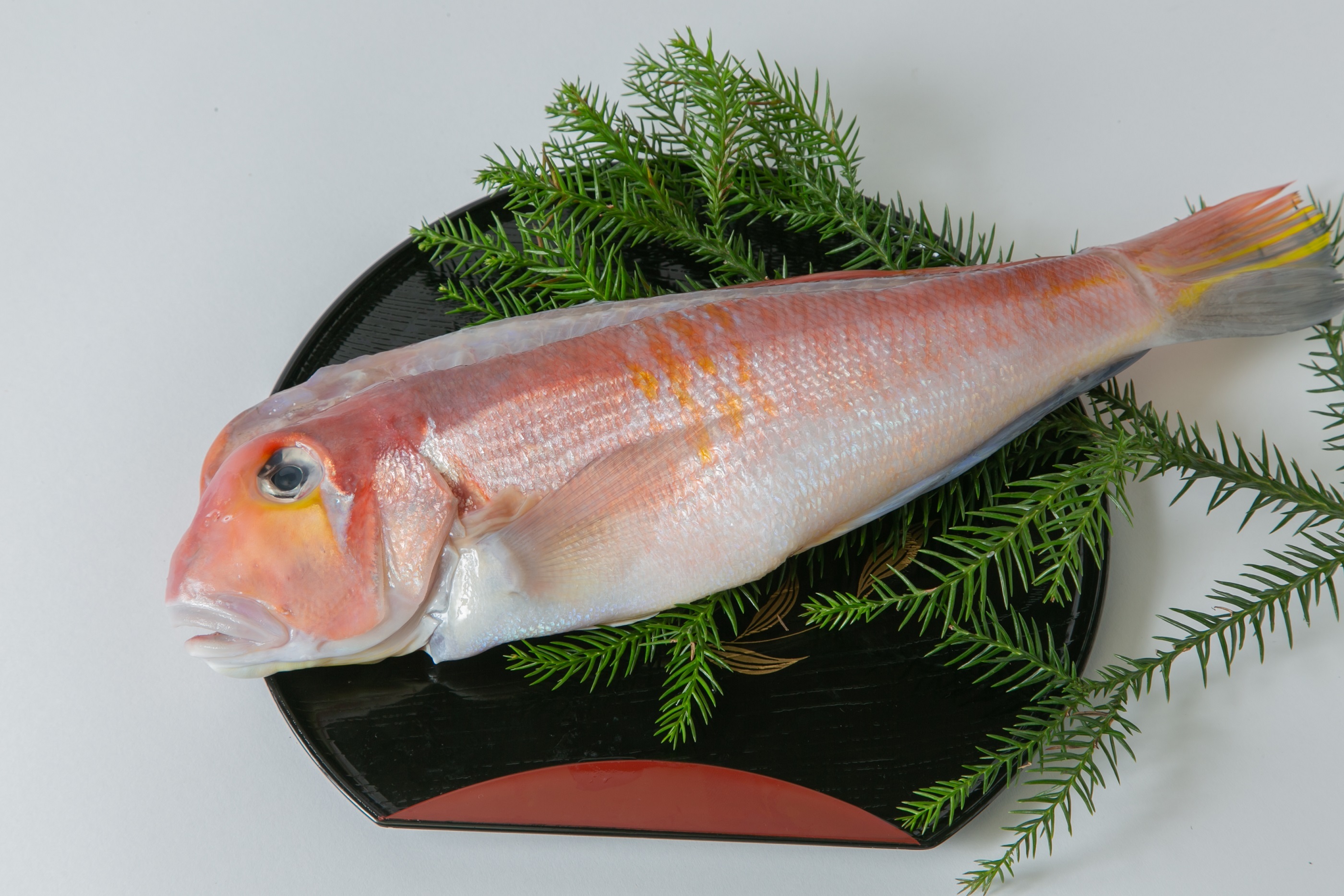 木五商店｜商品詳細