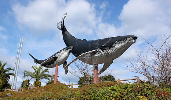 日本遺産「鯨とともに生きる」 – 和歌山県・熊野エリア観光