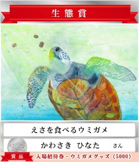 ウミガメおえかきコンテスト2024 | ウミガメおえかきコンテスト2024