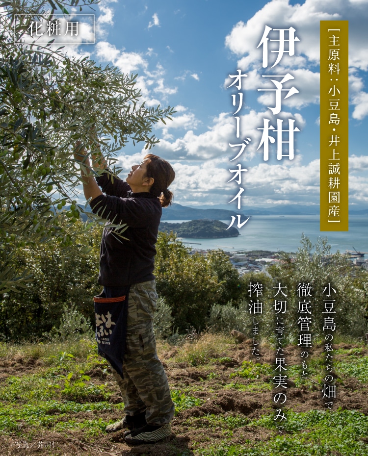 井上誠耕園産 伊予柑オリーブオイル | 井上誠耕園