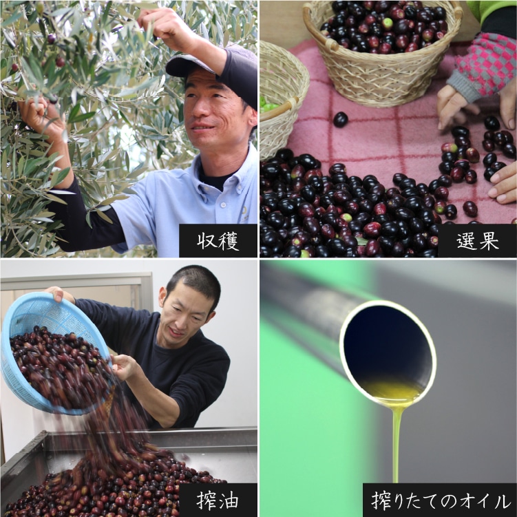 小豆島産手摘み完熟オリーブオイル 135g | 井上誠耕園