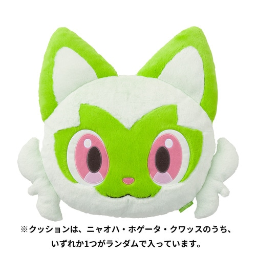 毎年大人気、「ピカピカボックス2024」の抽選販売受付は12月3日まで