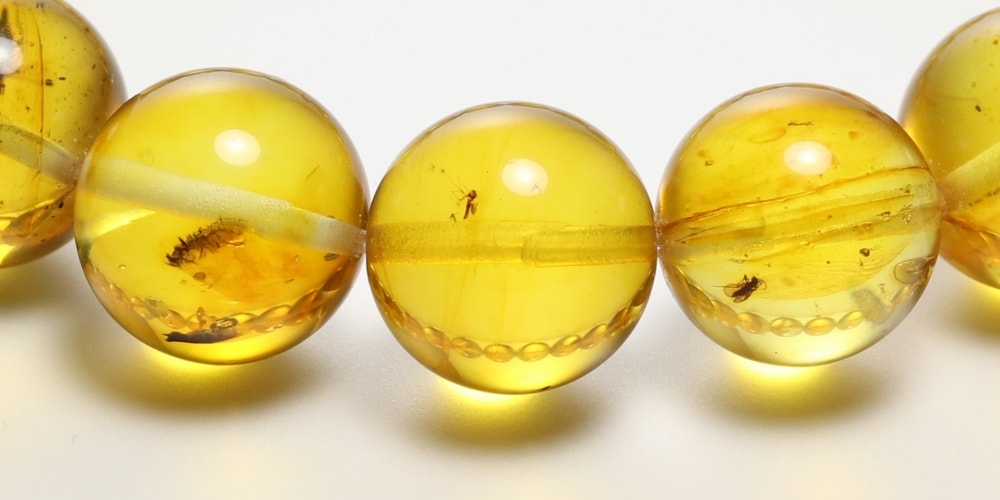 珍品]虫入り琥珀ブレスレット/天然アンバー（約11.5mm玉・鑑別書付