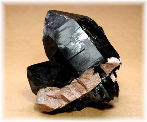 山東省産]モリオン原石ナチュラルポイント（天然黒水晶） - 埼玉県吉川