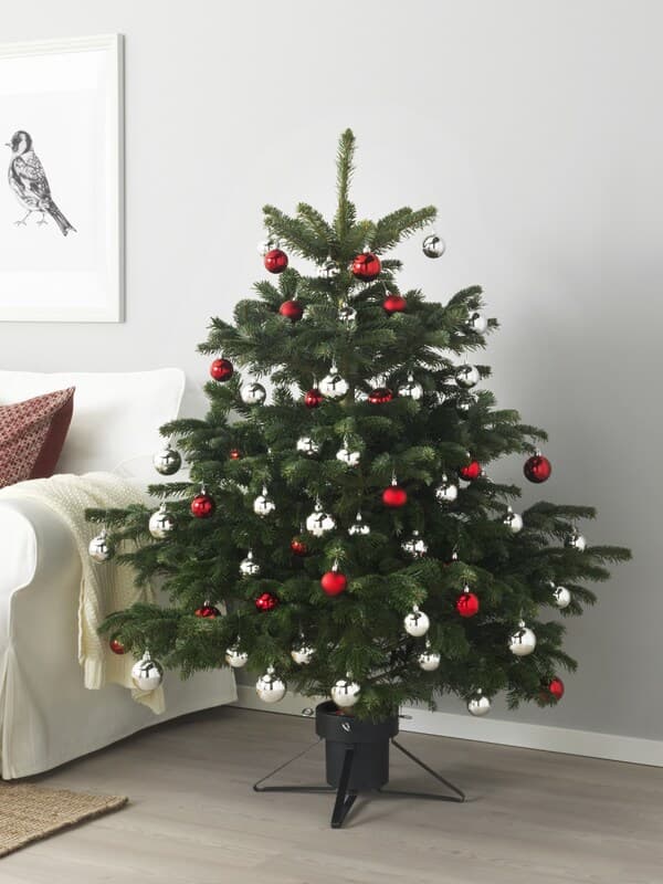 本物のもみの木のお手入れ方法 - IKEA