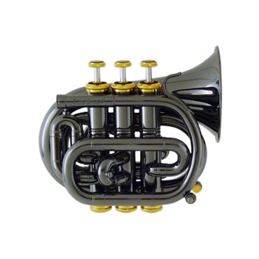 CAROL BRASS キャロルブラス / MINI N1000 BLK 【C ミニポケット