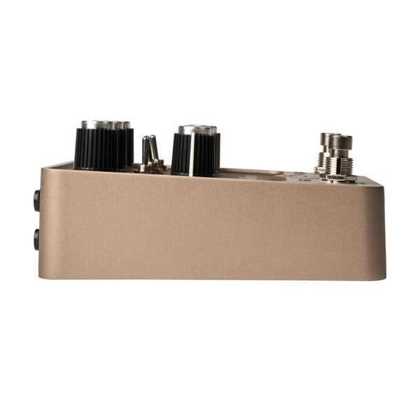 Universal Audio 【特別価格プロモーション】UAFX Golden Reverberator