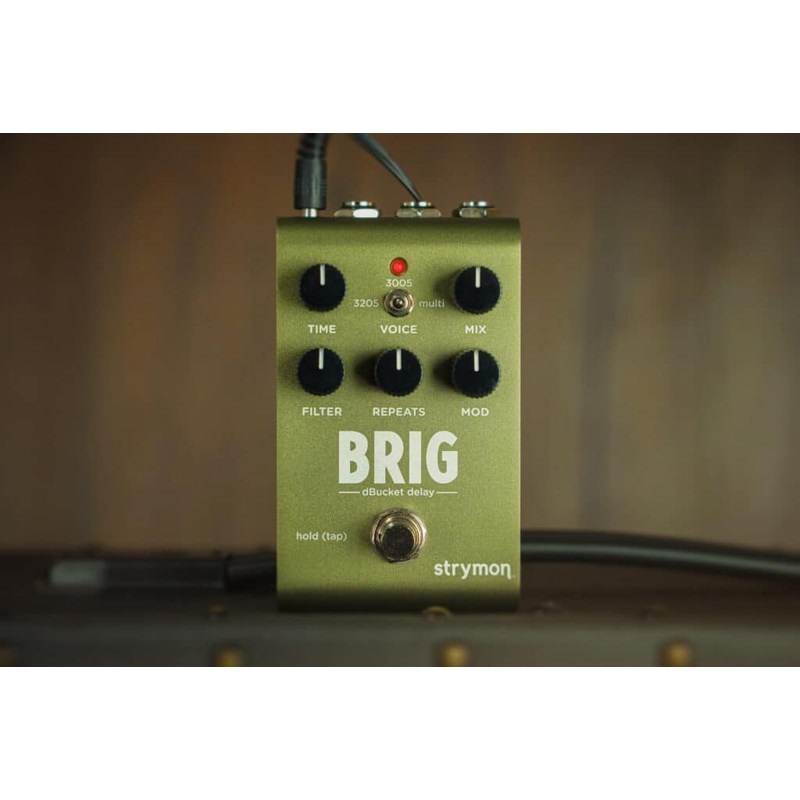 strymon 【WEB限定在庫処分セール】 BRIG【dBucket Delay】（ストライ