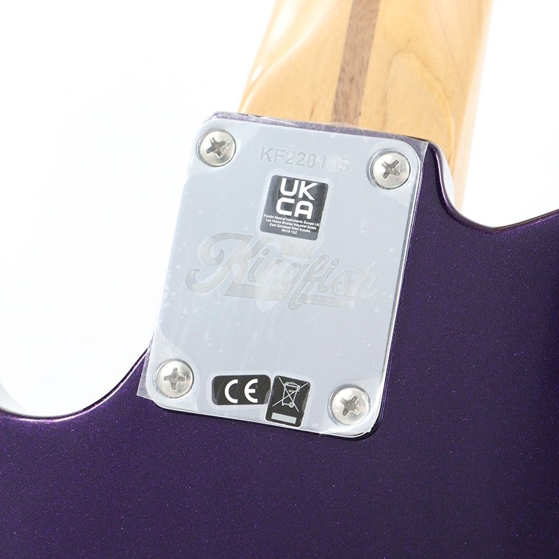 Fender USA Kingfish Telecaster Deluxe (Mississippi Night/Rosewood