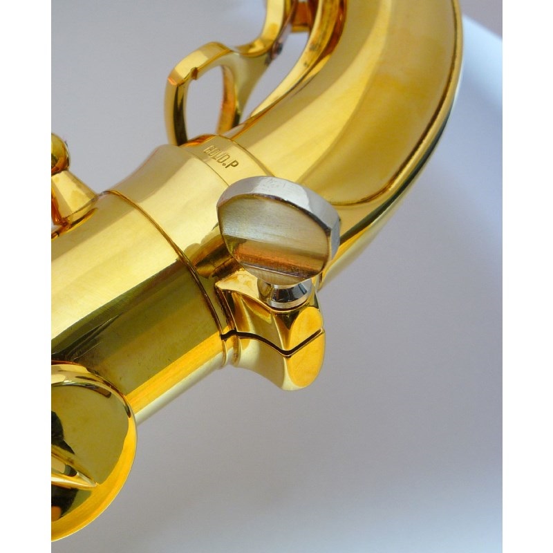 buzz バズ サックス用ネック止めネジ [セルマー用] ｜イケベ楽器店