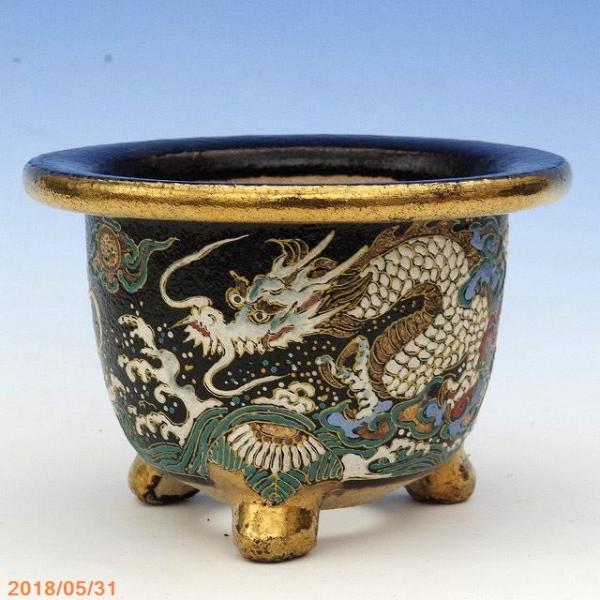 山野草の石田精華園 / 富貴蘭錦鉢