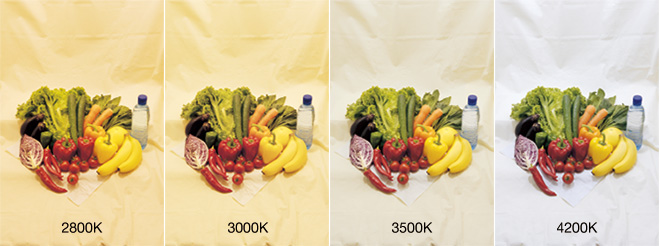 セラルクスT(G12口金形)・セラルクスTC(G8.5口金形) | セラミック