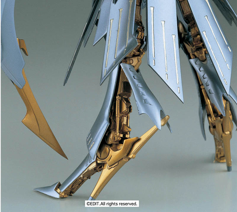 製品情報 限定商品/AUGE