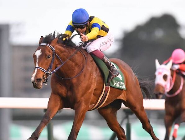 ソールオリエンスという皐月賞で優勝した競走馬をご紹介！評価・馬体
