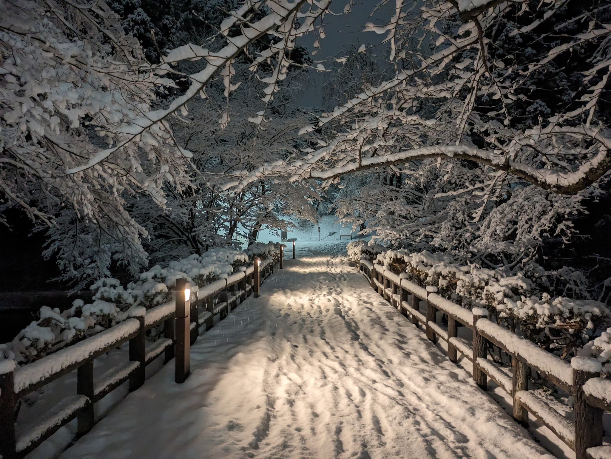 弘前市民ですら見たことが少ない弘前公園の珍しい雪景色 ｜弘前ぐらし