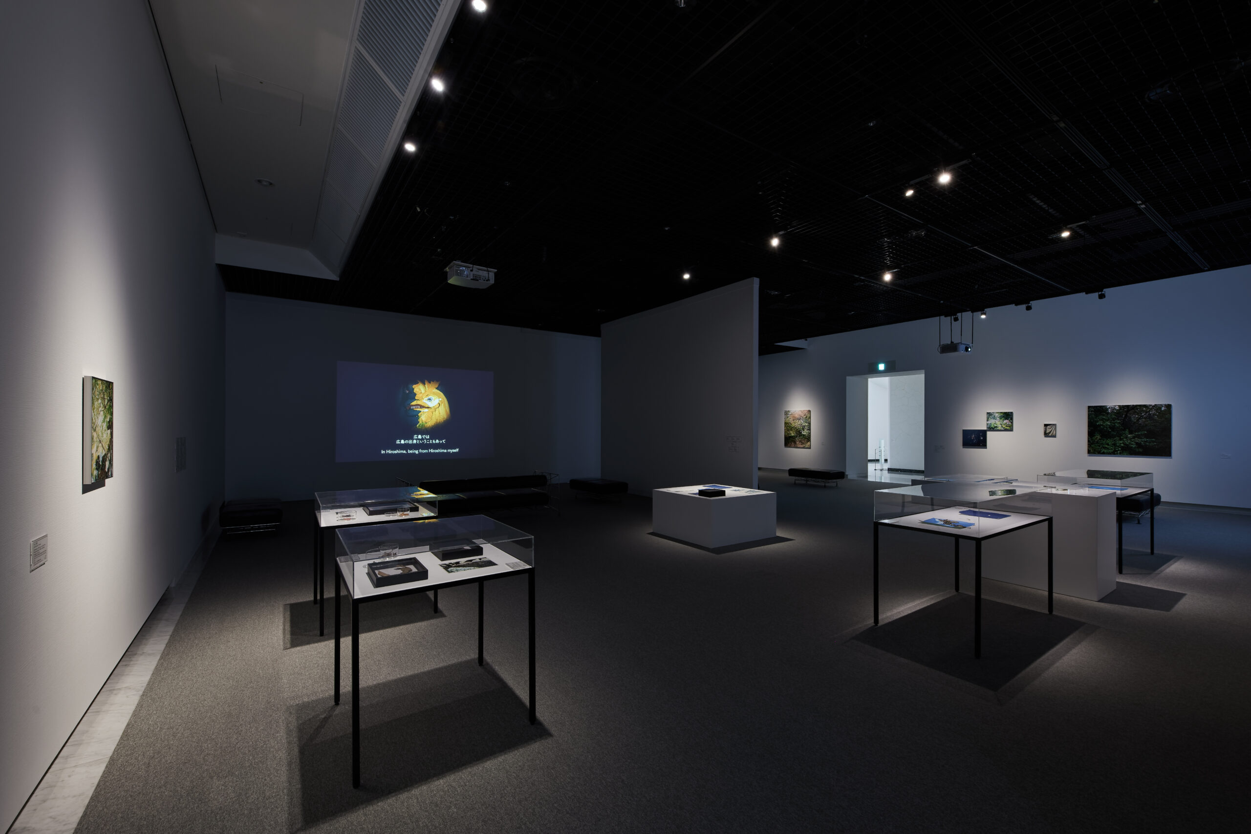 コレクション展2023-Ⅰ コレクション・ハイライト＋コレクション