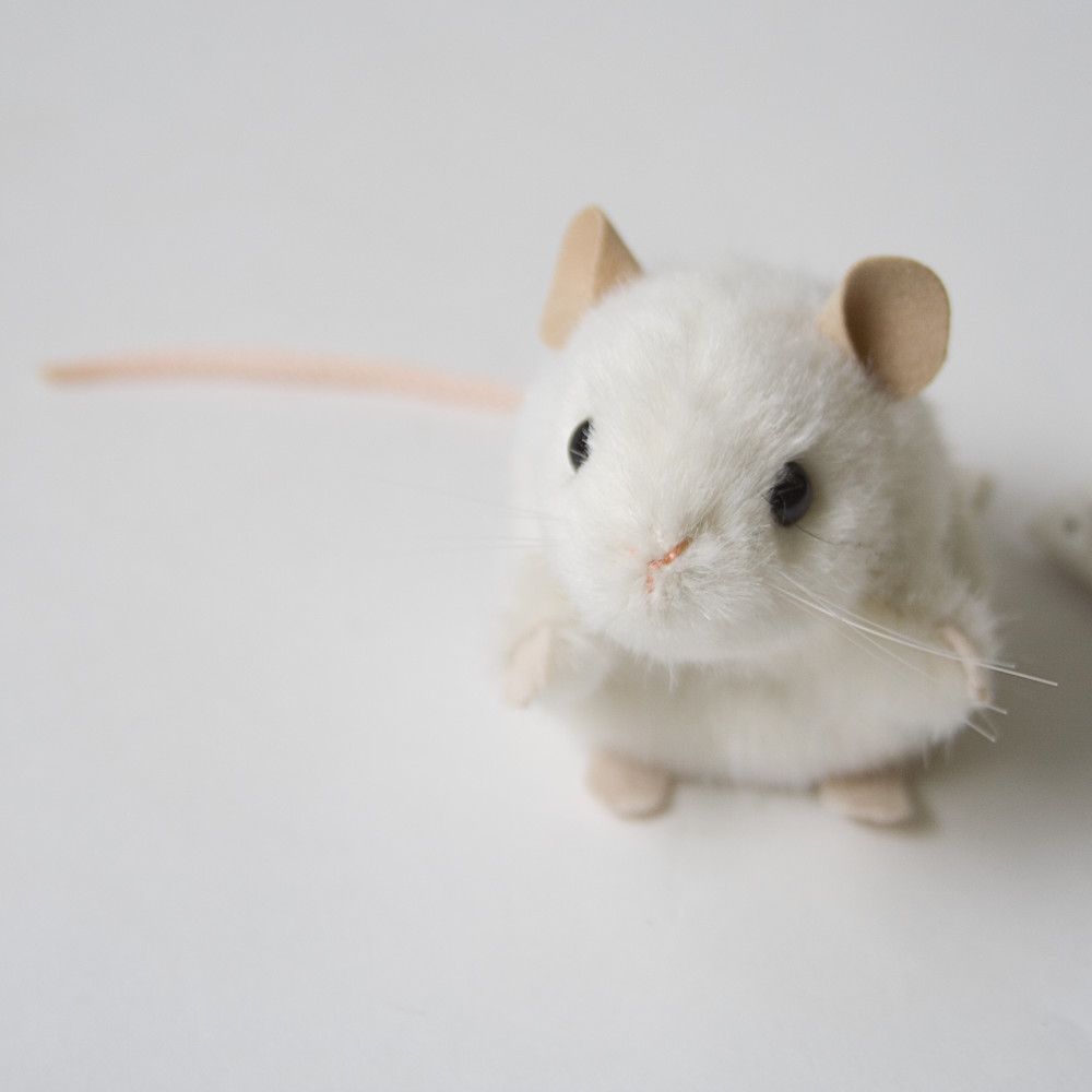 5561 ねずみ 白：おもちゃ：百町森
