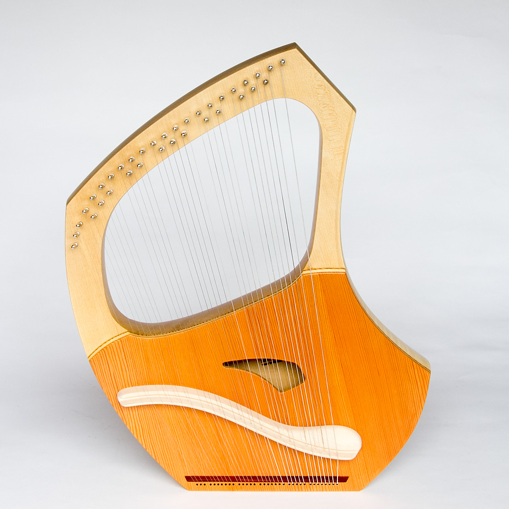 スチューデントライヤー 35音：おもちゃ：百町森