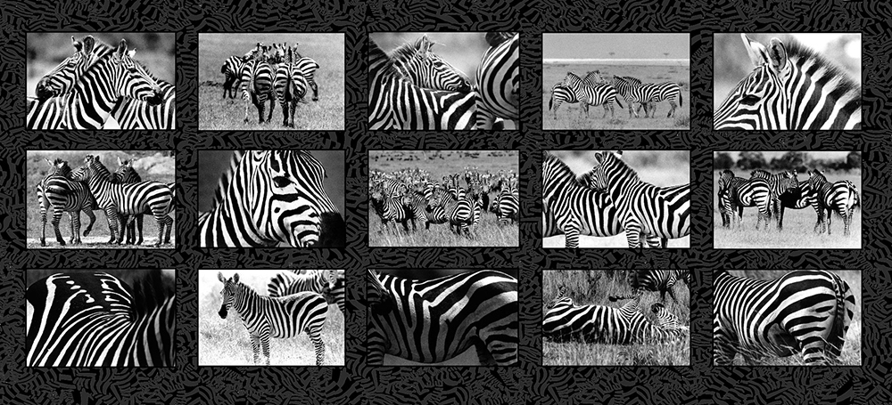 表現者たち」 vol.13 内藤 忠行 | 公益社団法人 日本写真家協会