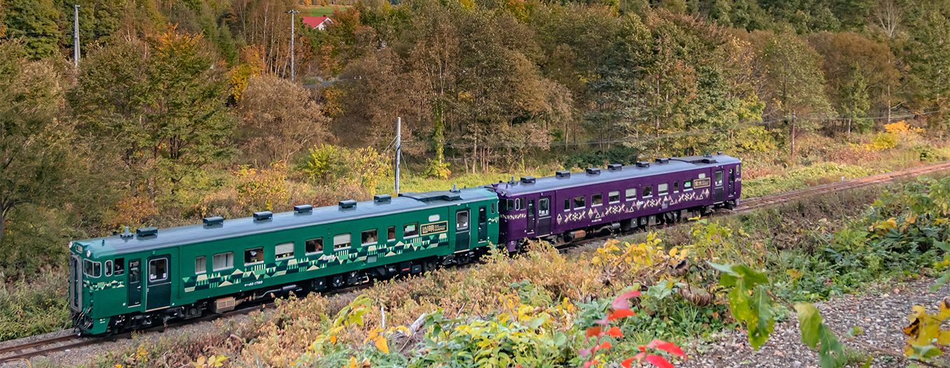 山紫水明｜列車ガイド（列車編成・設備など）｜鉄道・きっぷ｜JR北海道