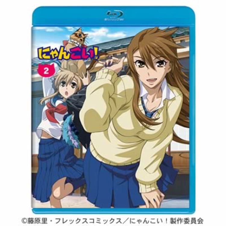 にゃんこい！／2巻／Blu-ray（初回限定版） | CBCショッピング