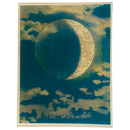 DT_20The_20Moon_260x.png?v=