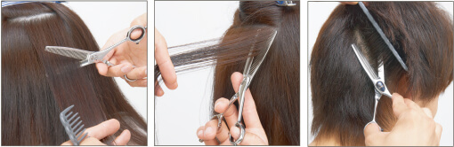 ボリュームコントロールセニング SNT | ジョーウェル・シザーズ