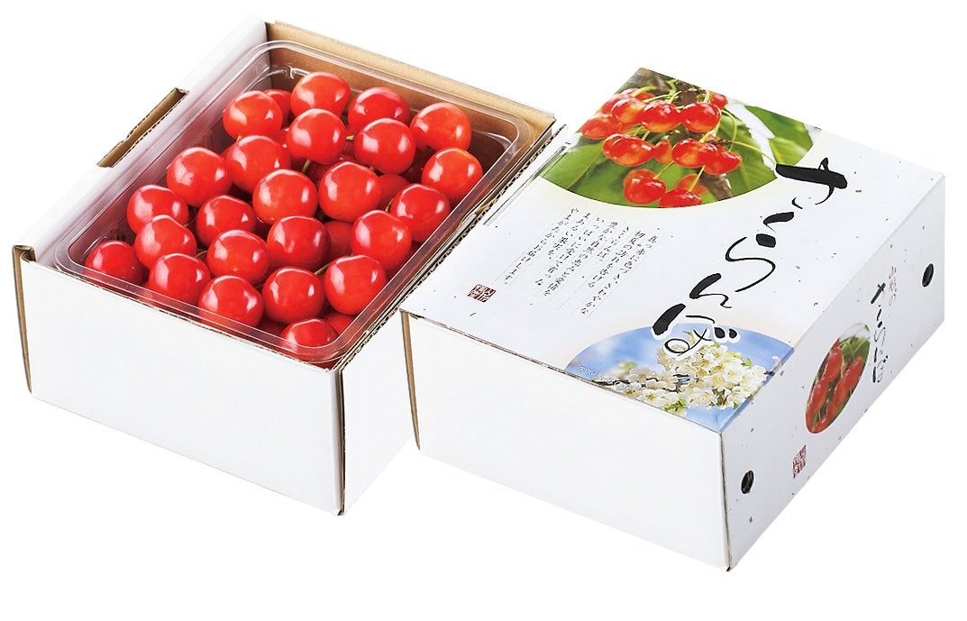 秀品さくらんぼ佐藤錦500gL玉 【クール便】: JAてんどうフーズ