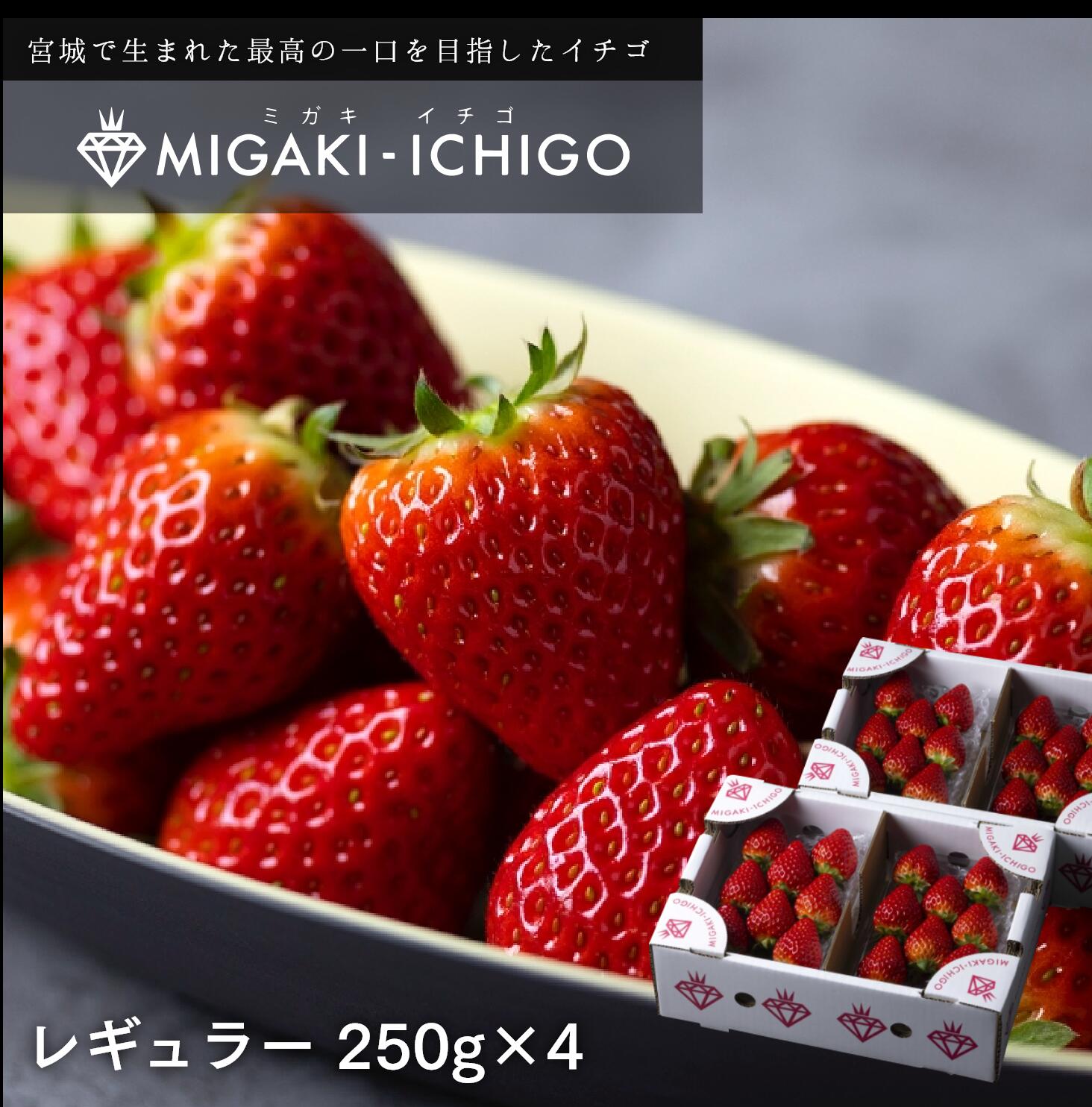 母の日】宮城県産ミガキイチゴレギュラー250g×4パック: JAてんどう