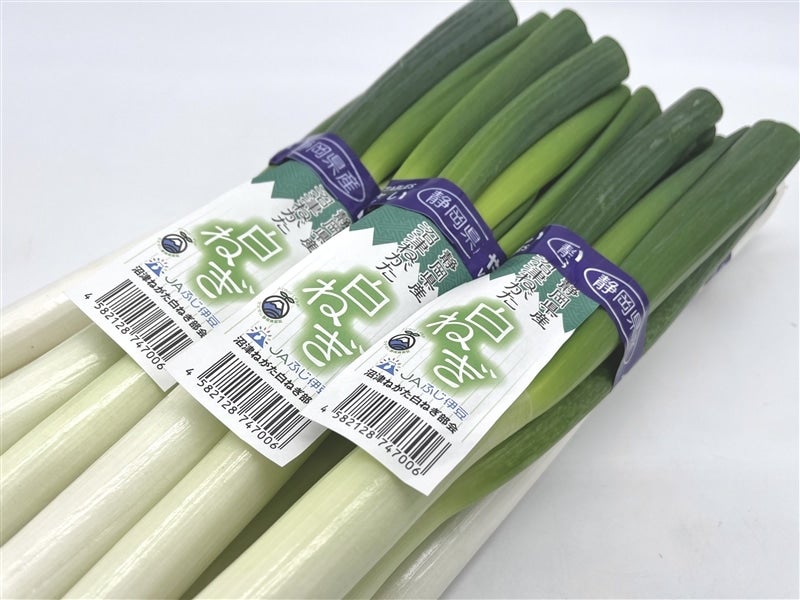 沼津ねがた白ねぎ 5kg×1箱 JAふじ伊豆: しずおか『手しお屋