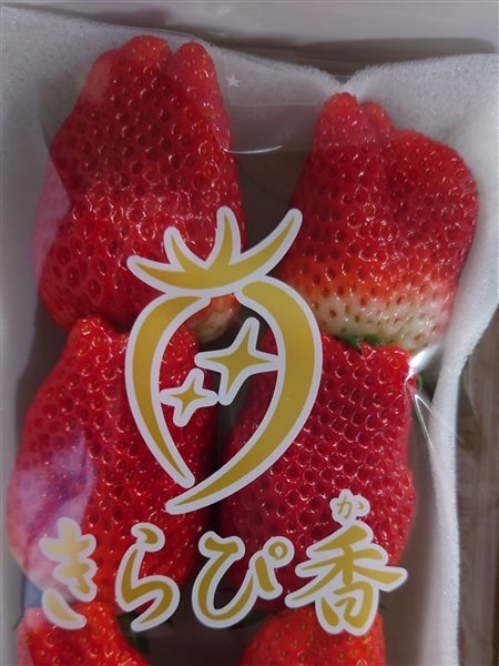 4P】静岡いちご「きらぴ香」平詰め4P JAふじ伊豆: しずおか『手