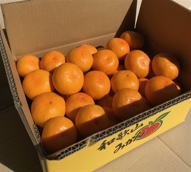 めっけもん広場の 熟成 みかん（約5kg）S～L サイズ混合【ご家庭用