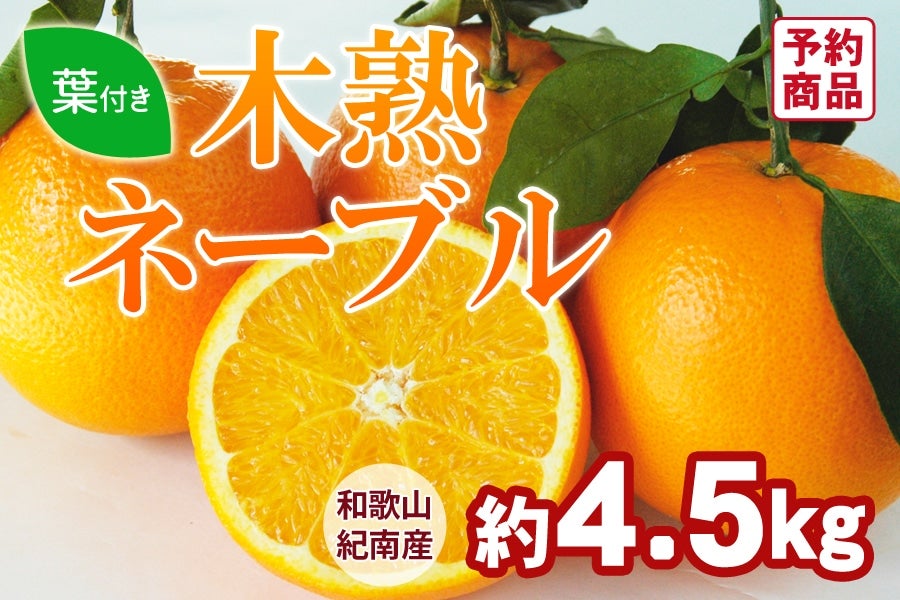木熟ネーブル 約4.5kg（15～19玉入り） ＜3月上旬より順次発送＞(紀南