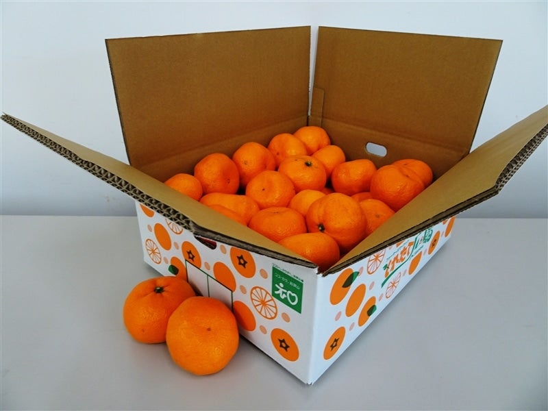 戎農園】和歌山県下津の大玉蔵出しみかん 約5kg 【大玉サイズ】(なが