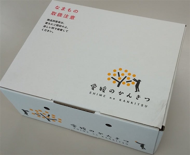 愛媛県産「天草（あまくさ）」約2kg（優以上M～2L混合）＊2月17