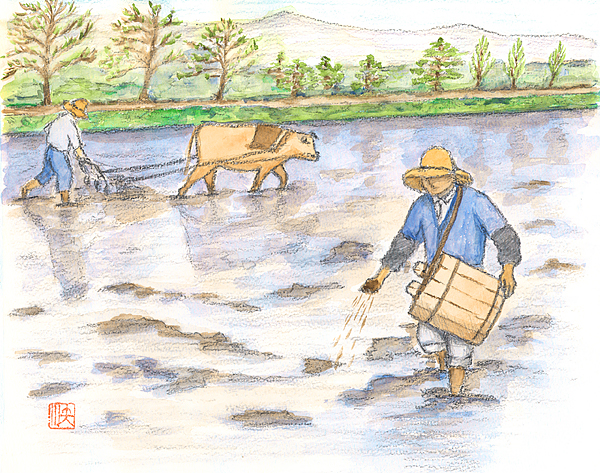 水田土壌学を大成／続・日本の「農」を拓いた先人たち -- 公益社団法人