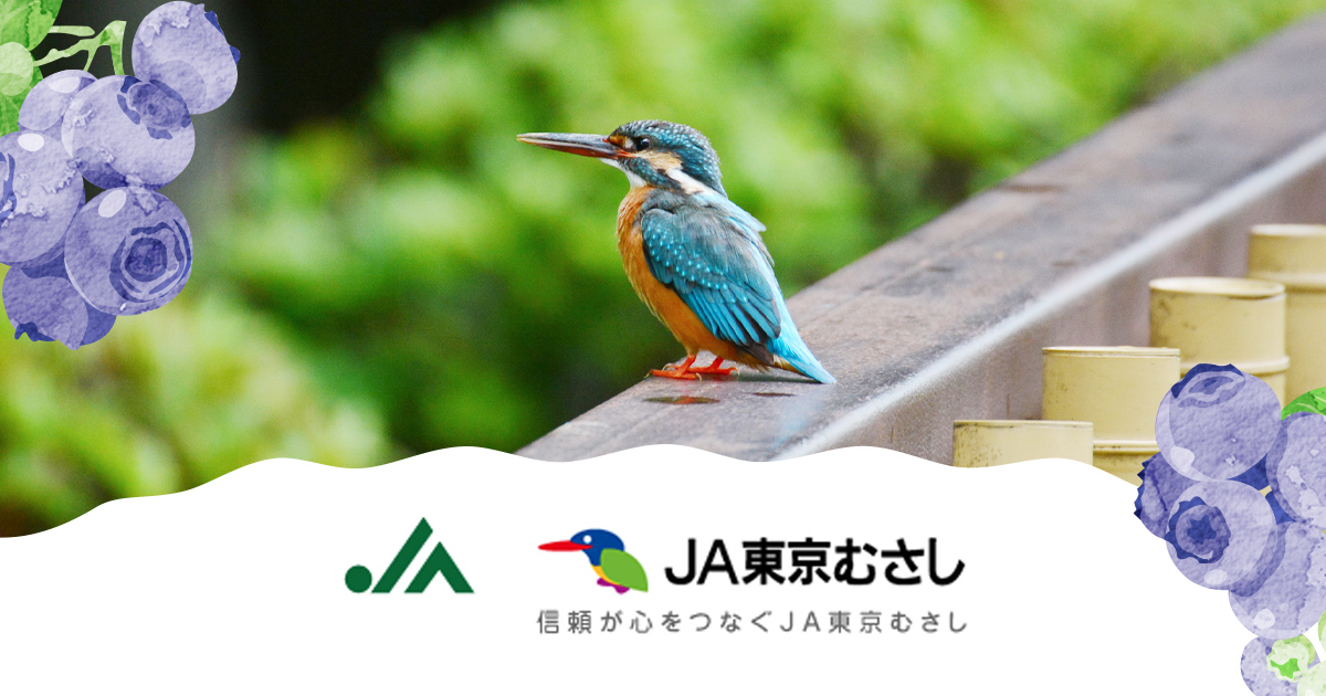 山野草 茶花】谷合園芸｜店舗一覧｜JA東京むさし