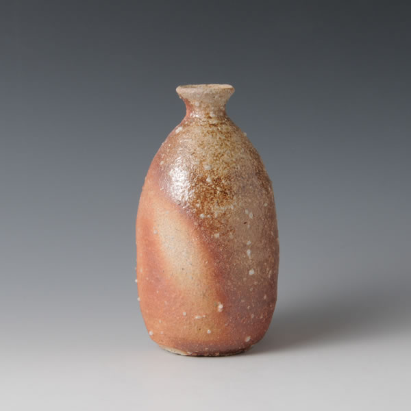 Japan Pottery Net / 信楽徳利 C