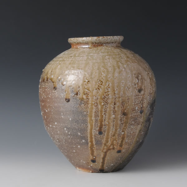 Japan Pottery Net / 信楽壺 B