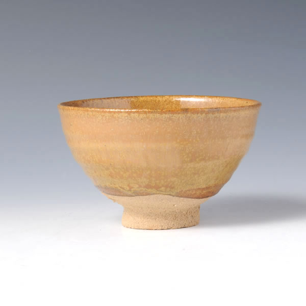 Japan Pottery Net / 唐津金砂釉茶碗