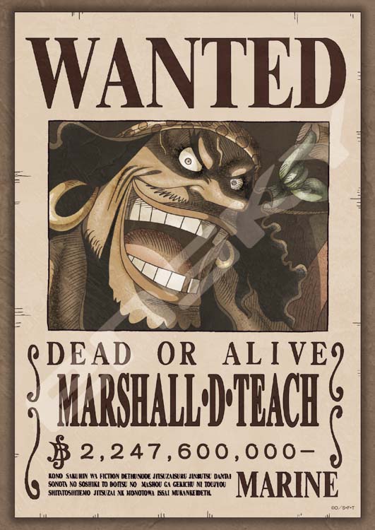 ENS-208-105 ワンピース 懸賞金22億4760万ベリー 208ピース エンスカイ