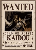 ENS-208-108 ワンピース 懸賞金46億1110万ベリー 208ピース エンスカイ