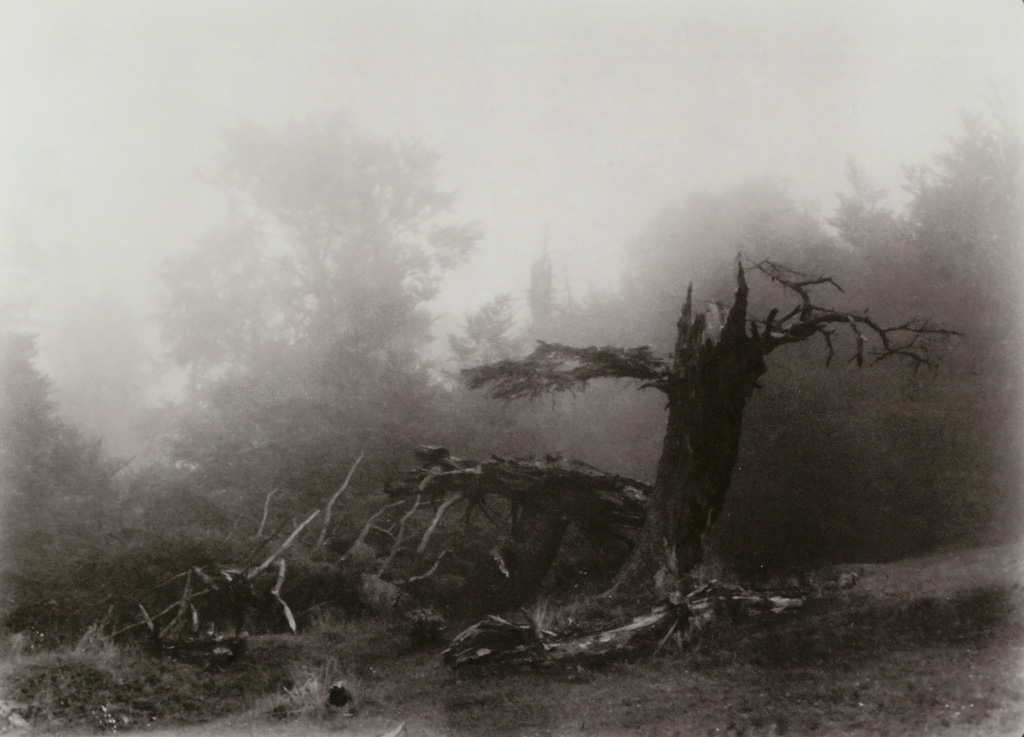 Josef Sudek | Master Landscape Photographer | On Landscape