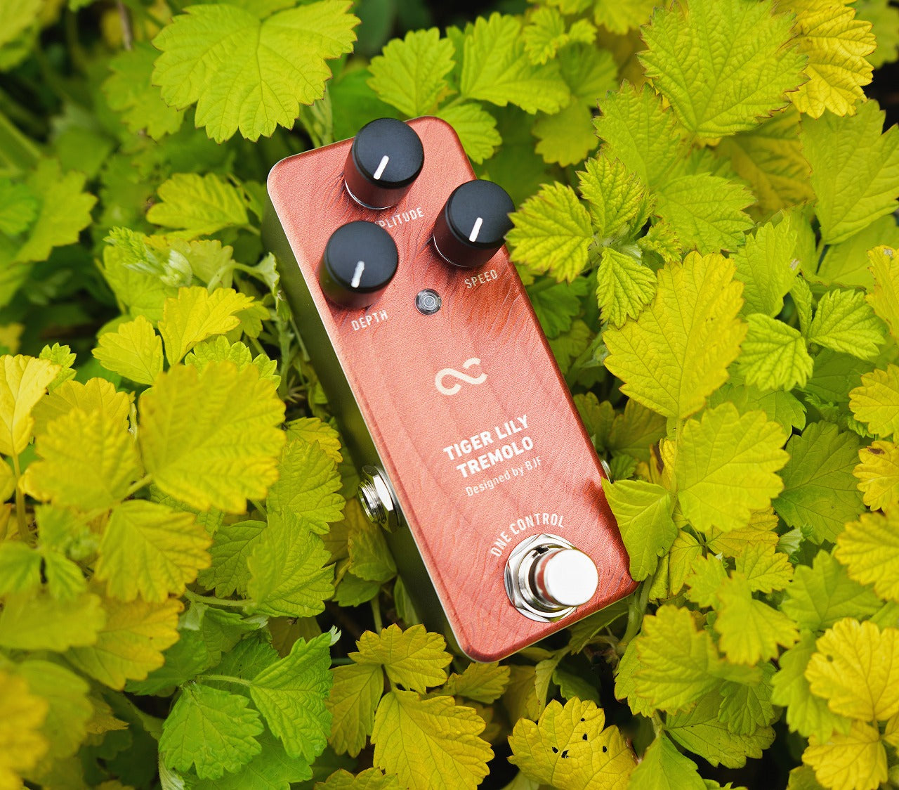 One Control TIGER LILY TREMOLO – OneControl