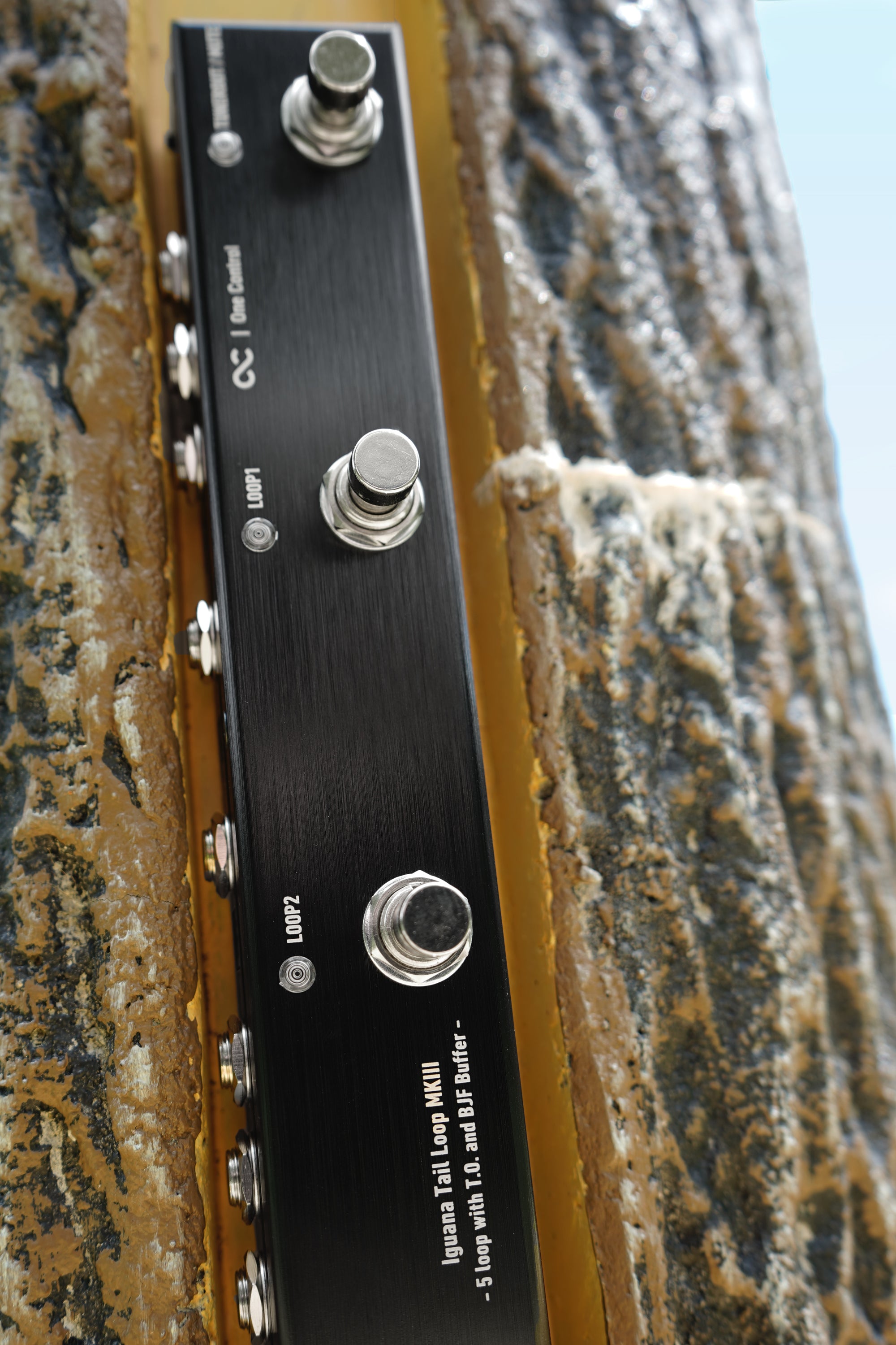 One Control Iguana Tail Loop MKIII - 5 loop with T.O. and BJF