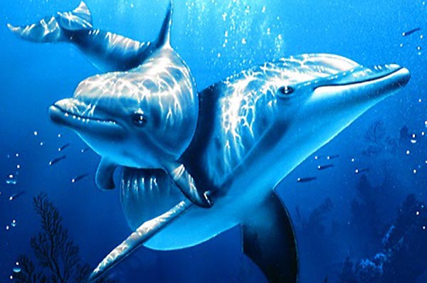 ラッセン ニューホープII | 絵画など美術品の販売と買取 | 東京・銀座