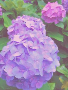 村上隆 お花畑の中の「どこでもドア」 | 絵画など美術品の販売と買取